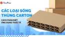Các loại sóng thùng carton, cách phân biệt, ứng dụng thực tế