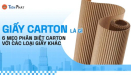 Giấy carton là gì? 6 Mẹo phân biệt carton với các loại giấy khác