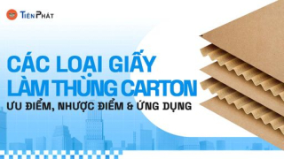 Các loại giấy làm thùng carton: Ưu điểm, nhược điểm & ứng dụng