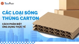 Các loại sóng thùng carton, cách phân biệt, ứng dụng thực tế