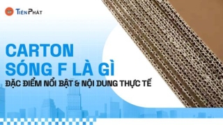 Carton sóng F là gì? Đặc điểm nổi bật và ứng dụng thực tế
