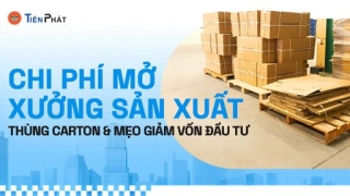 Chi phí mở xưởng sản xuất thùng carton và mẹo giảm vốn đầu tư