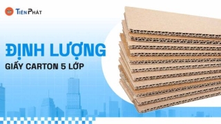 Định lượng giấy carton 5 lớp là bao nhiêu? Cách kiểm tra và ứng dụng