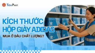 Kích thước hộp giày Adidas là bao nhiêu? Mua ở đâu giá rẻ?