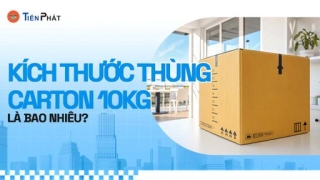 Kích thước thùng carton 10kg và cách chọn theo chuẩn từng ĐVVC
