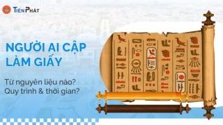 Người Ai Cập làm giấy từ nguyên liệu nào? Quy trình & thời gian?