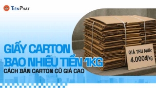Giấy carton bao nhiêu tiền 1kg? Cách bán carton cũ giá cao
