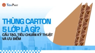 Thùng carton 5 lớp là gì? Cấu trúc, phân loại và ngành hàng phù hợp