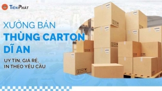 Xưởng bán thùng carton Dĩ An uy tín, giá rẻ, in theo yêu cầu