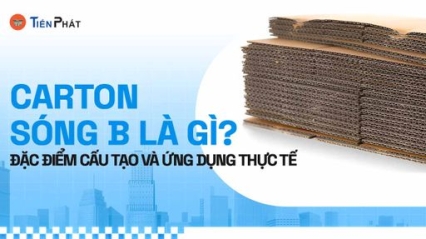 CÔNG TY CP IN ẤN BAO BÌ TIẾN PHÁT