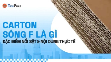 CÔNG TY CP IN ẤN BAO BÌ TIẾN PHÁT