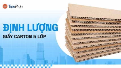 CÔNG TY CP IN ẤN BAO BÌ TIẾN PHÁT