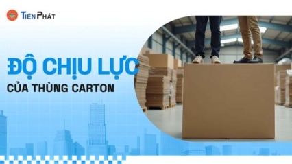 CÔNG TY CP IN ẤN BAO BÌ TIẾN PHÁT