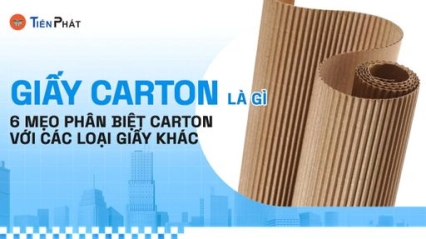 CÔNG TY CP IN ẤN BAO BÌ TIẾN PHÁT