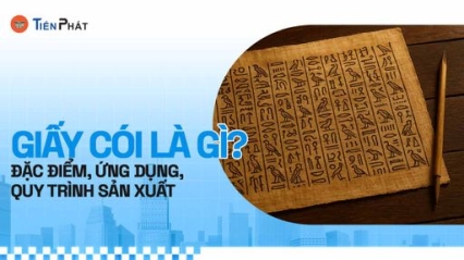 CÔNG TY CP IN ẤN BAO BÌ TIẾN PHÁT