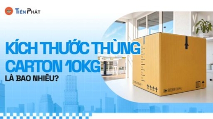 CÔNG TY CP IN ẤN BAO BÌ TIẾN PHÁT