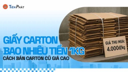 CÔNG TY CP IN ẤN BAO BÌ TIẾN PHÁT