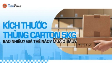 CÔNG TY CP IN ẤN BAO BÌ TIẾN PHÁT