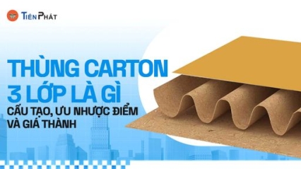 CÔNG TY CP IN ẤN BAO BÌ TIẾN PHÁT
