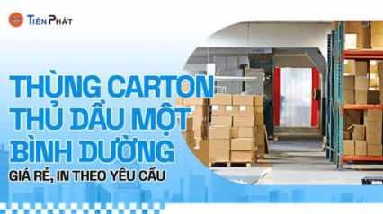 CÔNG TY CP IN ẤN BAO BÌ TIẾN PHÁT