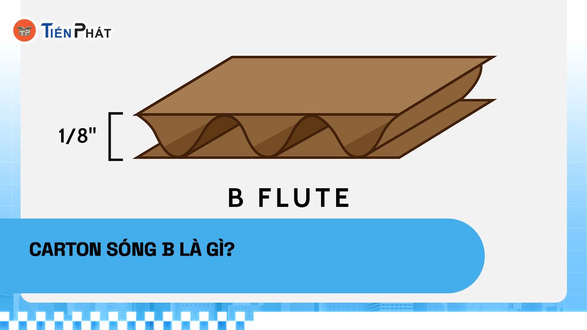 Carton sóng B là gì?