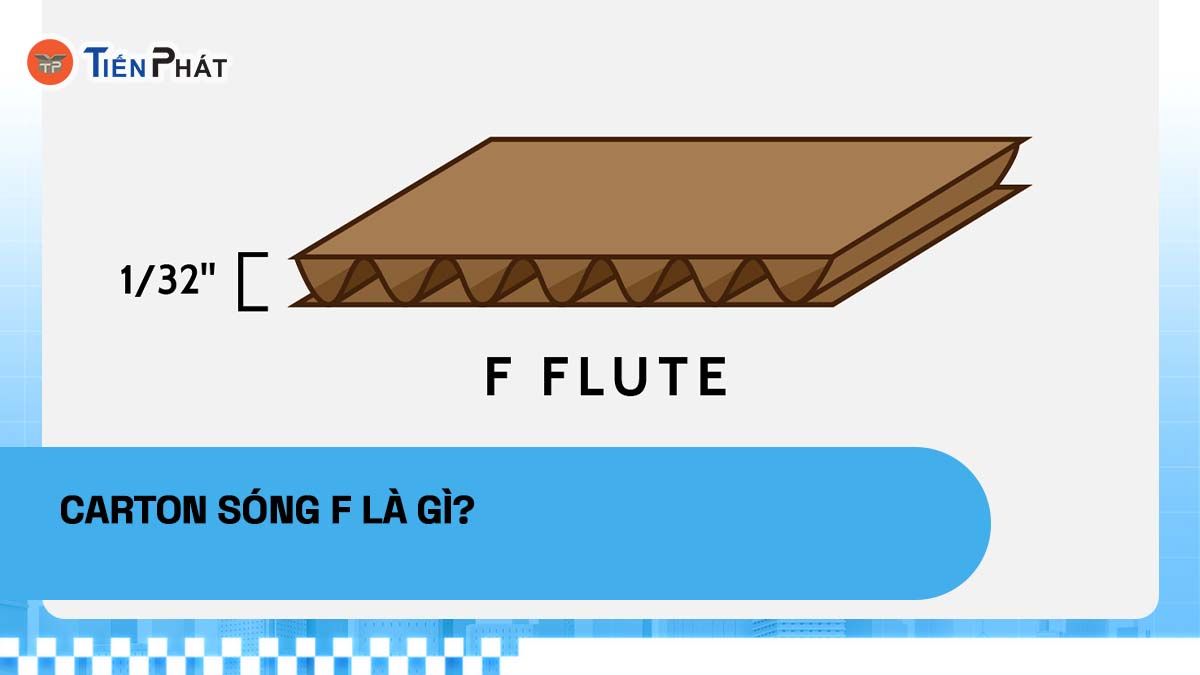 Carton sóng F là gì?
