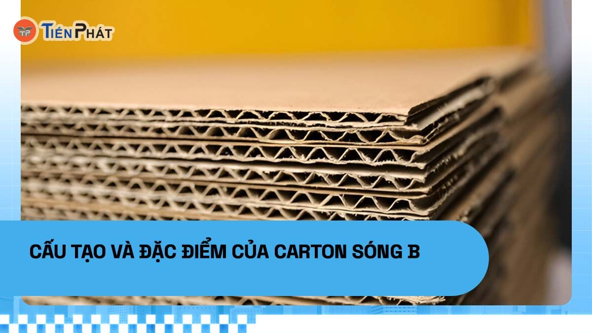 Cấu tạo và đặc điểm của carton sóng B