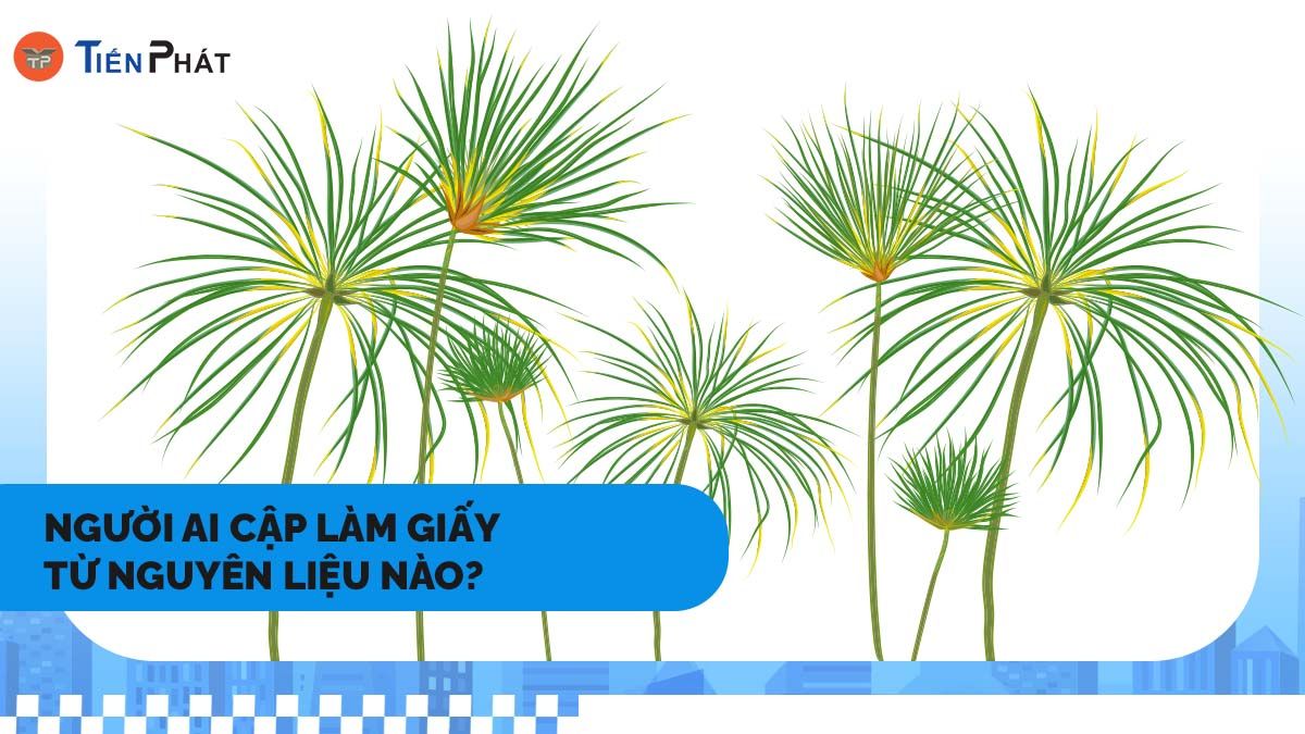 Người Ai Cập làm giấy từ nguyên liệu nào?