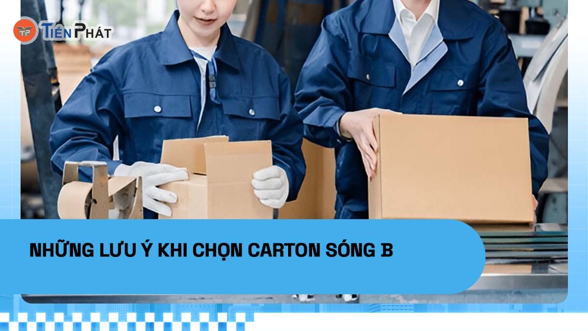 Những lưu ý khi chọn carton sóng B