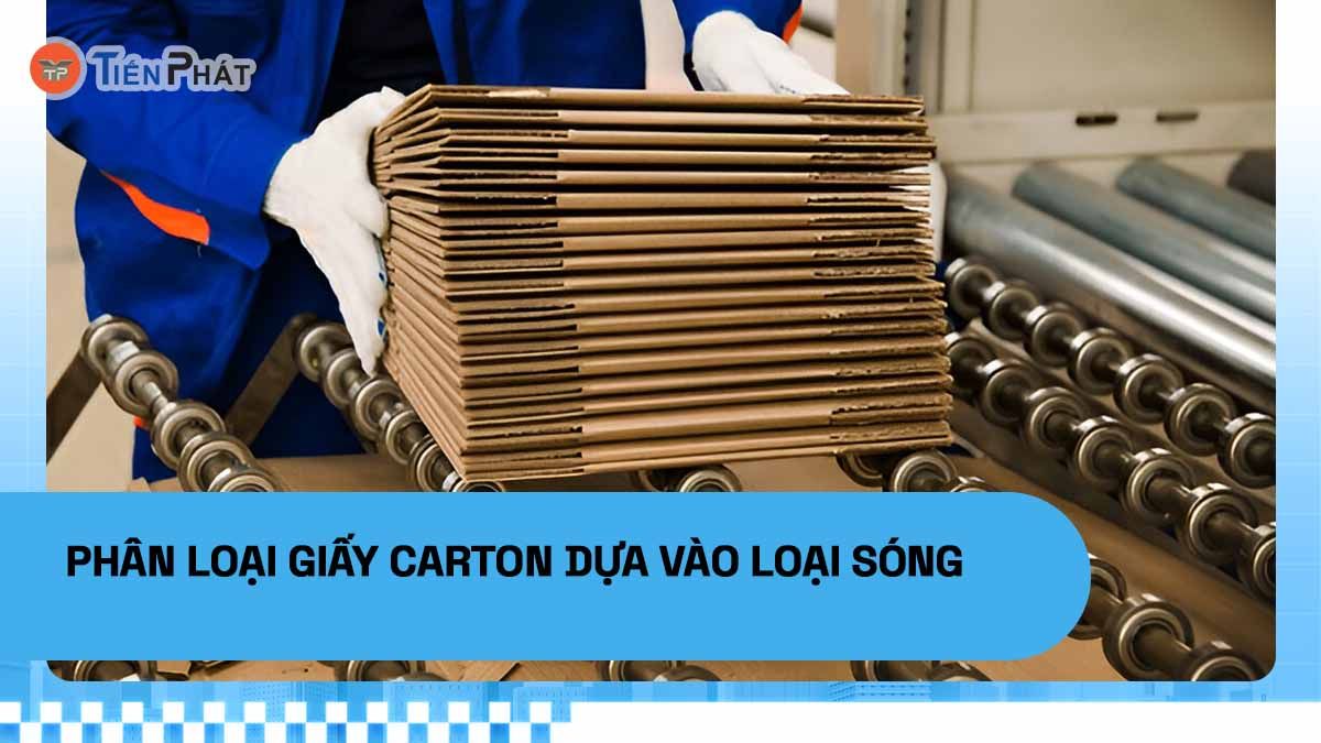 Phân loại giấy carton dựa vào loại sóng