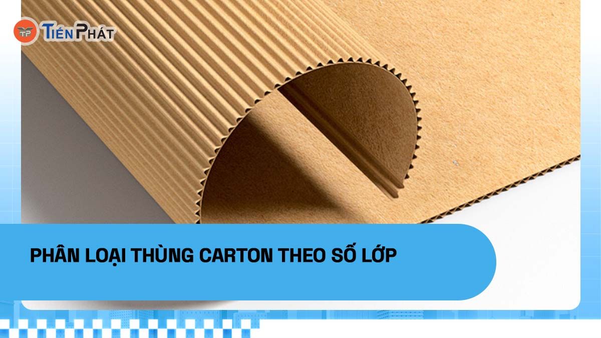 Phân loại thùng carton theo số lớp
