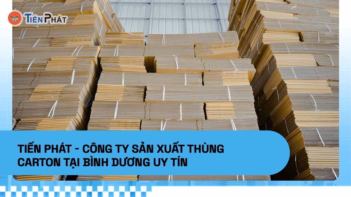 Tiến Phát - Công ty sản xuất thùng carton tại Bình Dương uy tín