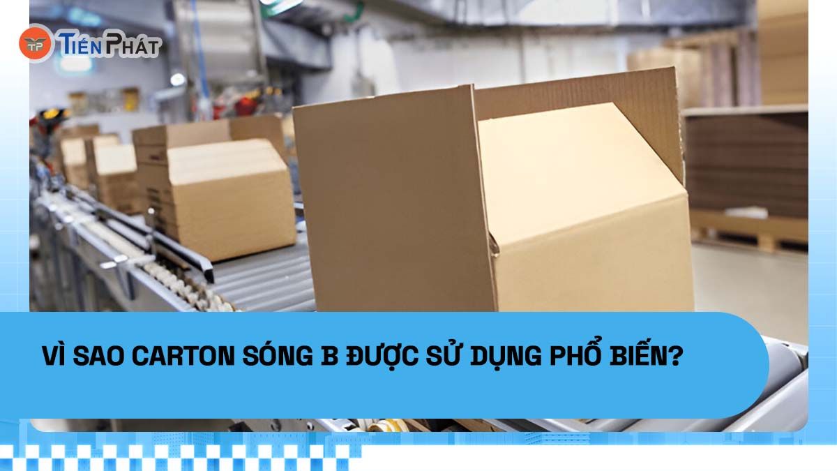 Vì sao carton sóng B được sử dụng phổ biến?