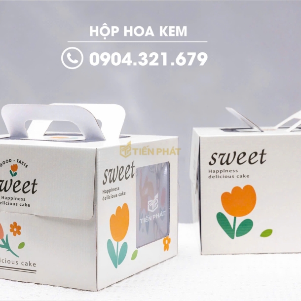 Mẫu Hộp Đại Trà