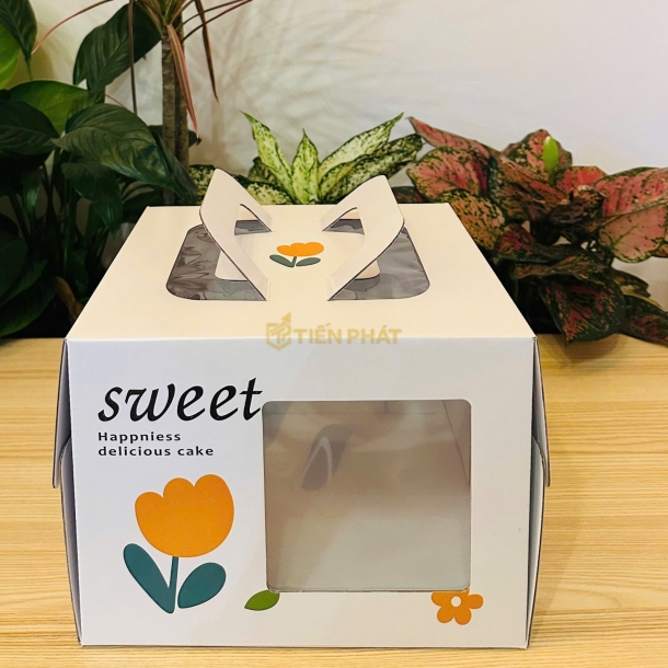 Mẫu Hộp Đại Trà