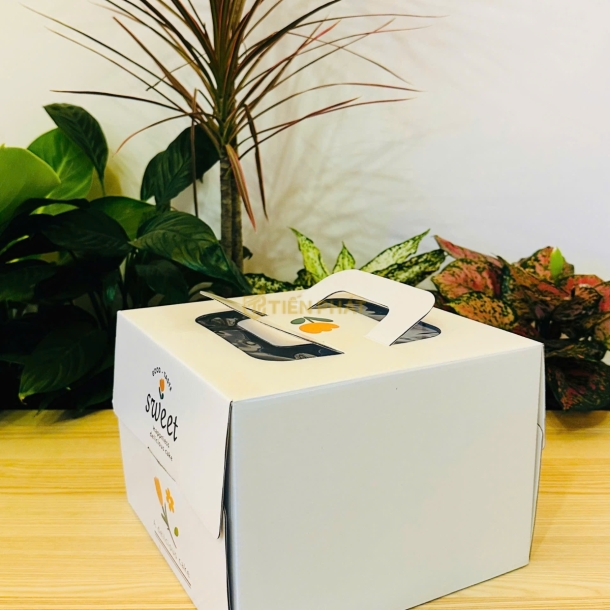 Mẫu Hộp Đại Trà