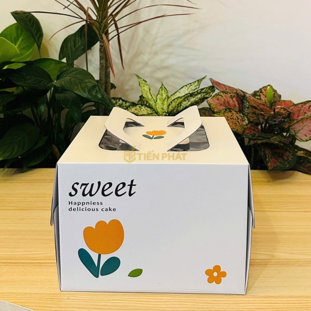 Mẫu Hộp Đại Trà