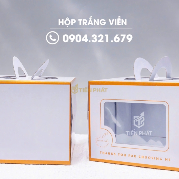 Mẫu Hộp Đại Trà
