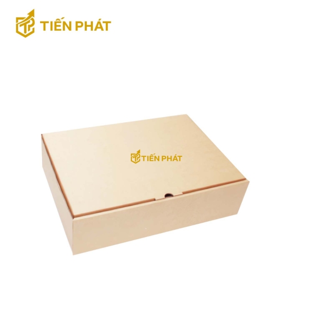 Hộp carton nắp gài lớn, màu nâu, không họa tiết