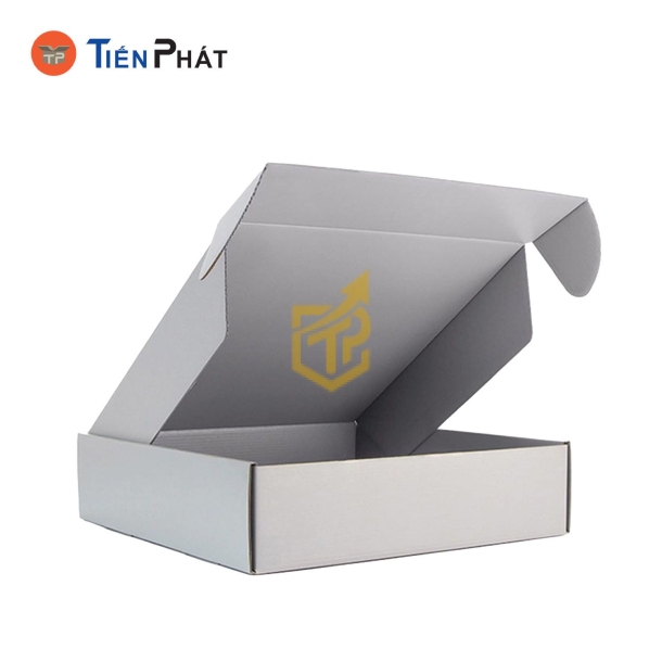 Hộp carton nắp gài màu xám, không họa tiết