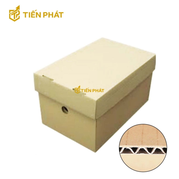 Thùng carton 3 lớp, nắp âm dương, màu nâu, không họa tiết